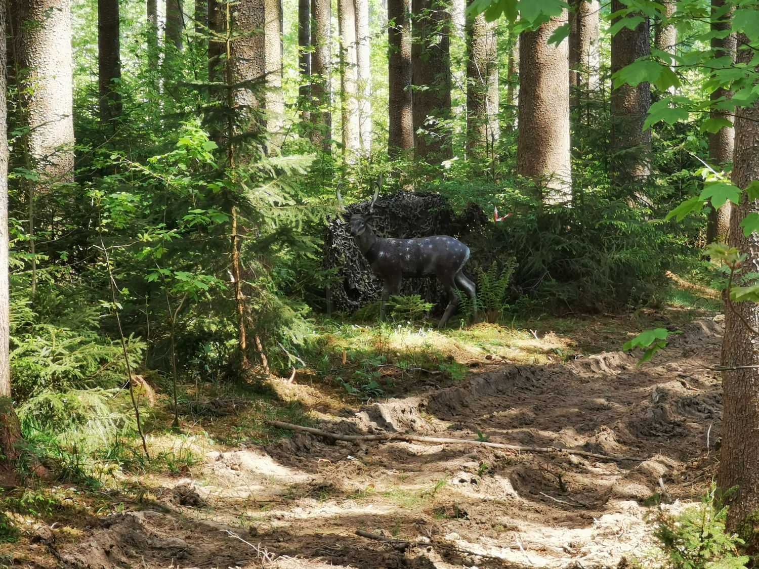 3D-Ziel im Wald