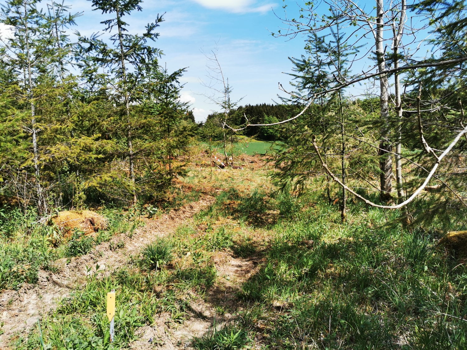 Parcoursblick
