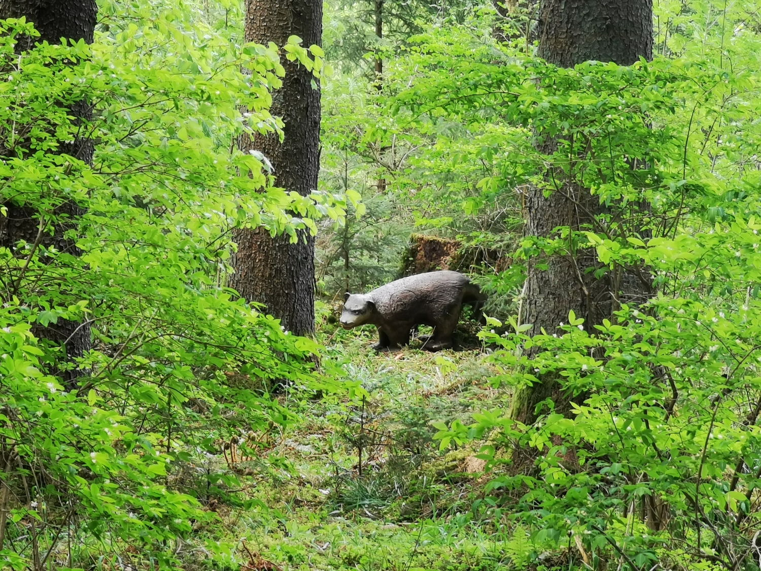 Ziel im Wald